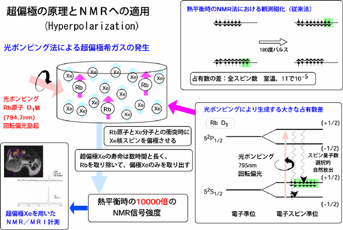 光ポンピング法による超偏極希ガス生成の原理とNMR/MRI計測への応用図