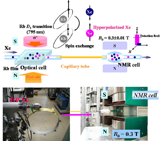 キャピラリー管による超偏極キセノンガスのNMR装置への導入実験の図