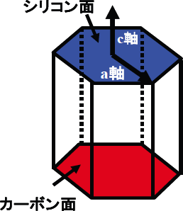 SiC の結晶構造図