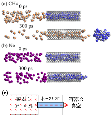 分子選択的ナノバルブの計算機シミュレーションの図