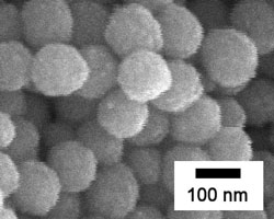 酸化セリウム/ポリマーハイブリッド球状ナノ粒子の走査電子顕微鏡像