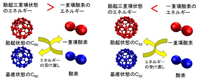 フラーレンにおける一重項酸素の発生と除去のメカニズムの図