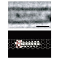 炭素鎖長１２の一重鎖を持つ分子の電子顕微鏡観察像とモデル図サムネイル画像