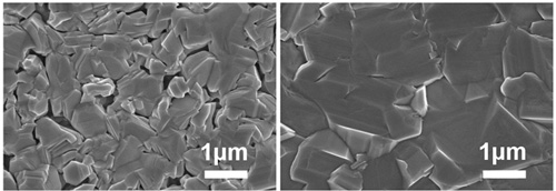 蒸気セレンを用いて作製したCIGS薄膜表面とラジカル化したセレンを用いて作製したCIGS薄膜表面の電子顕微鏡写真