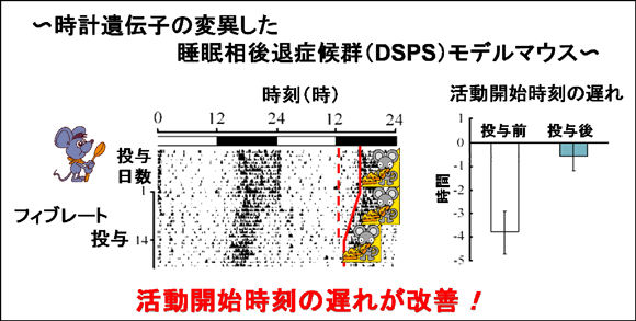 フィブレート投与によるリズム障害の治療の図