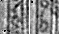 電子顕微鏡で撮影されたカーボンナノチューブ内のレチナール分子画像