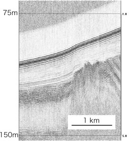 調査で得られた反射断面図画像
