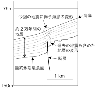 反射断面の解釈図画像