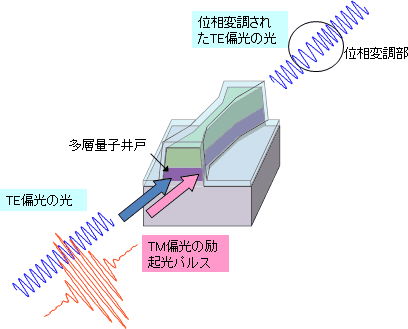 物質の光による屈折率変化と光の位相変調の図