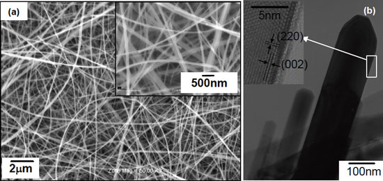 単結晶マンガン酸リチウムナノワイヤーの電子顕微鏡画像