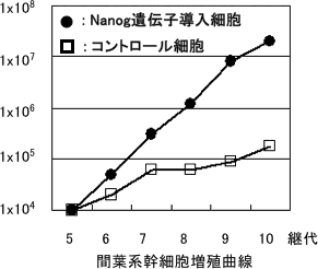 間葉系幹細胞の増殖曲線図