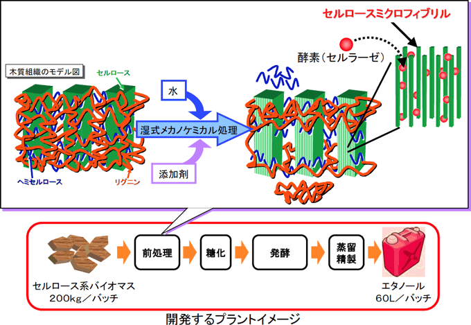 開発するプラントイメージと産総研独自の前処理技術の図