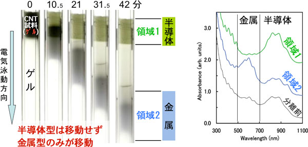 SWCNTのゲル電気泳動による金属型・半導体型分離と分離後の光吸収スペクトルの図