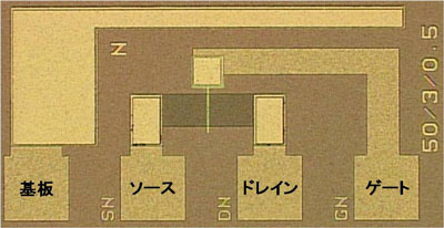 FeFET光学顕微鏡写真