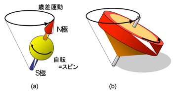 電子のスピンとコマの回転と首振り運動の図