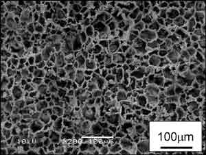 コーディエライト多孔体の電子顕微鏡写真（-50℃で凍結、乾燥、焼成）