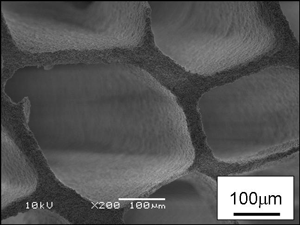 コーディエライト多孔体の電子顕微鏡写真（-20℃で凍結、乾燥、焼成）