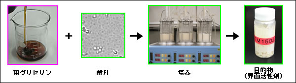 粗グリセリンから界面活性剤生産菌の分離を試みた概要図