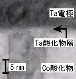 今回開発したRRAM素子の透過型電子顕微鏡写真