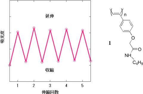 ポリマー1薄膜の繰り返し伸縮時の540nmにおける吸光度の図