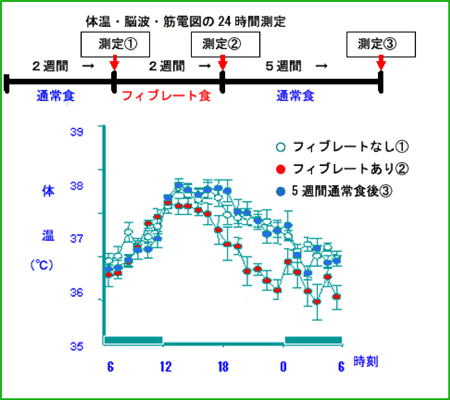 フィブレート投与前、投与後、投与後通常食を5週間与えた後の体温測定の結果の図