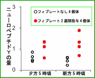 フィブレート投与で脳内視床下部のNPYが上昇の図