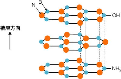 窒化ホウ素の結晶構造とその端面に結合している官能基の図