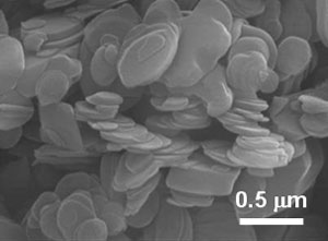 用いた窒化ホウ素フィラーの電子顕微鏡写真