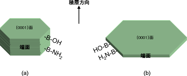 窒化ホウ素フィラーの模式図