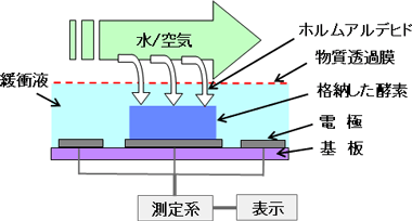 ホルムアルデヒド酵素センサーによる計測システムの図