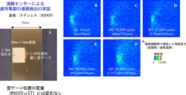 塗膜センサーによる微細な疲労亀裂の進展の検出の図