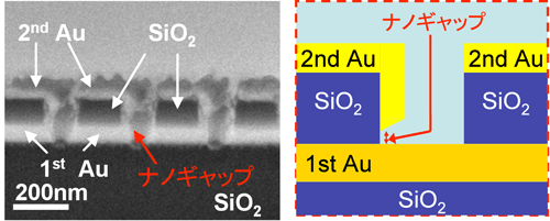 今回の縦型ナノギャップ不揮発性素子のSEM像及び断面図