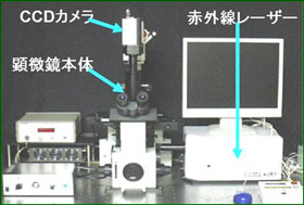 IR-LEGO顕微鏡システムの写真