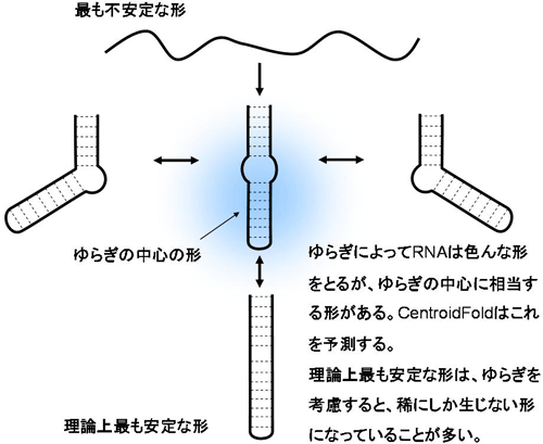 「CentroidFold」概要図