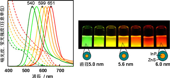水に分散したInP/ZnSナノ粒子の吸収および発光スペクトルと紫外線照射時の発光の図