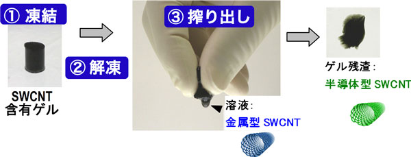 SWCNT含有ゲルの凍結-解凍-圧搾による金属型・半導体型の分離の図