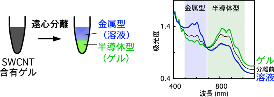 ゲル遠心分離法によるSWCNTの金属型・半導体型分離の図