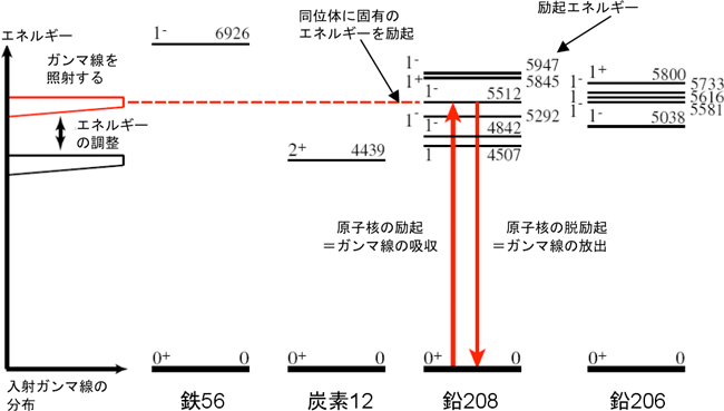 本提案の測定手法の原理の図