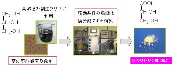 高濃度の副生グリセリンからD-グリセリン酸を効率的に生産の図