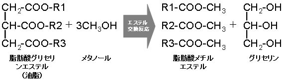 バイオディーゼル燃料の説明図