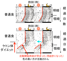 活動開始時刻が早まった説明図