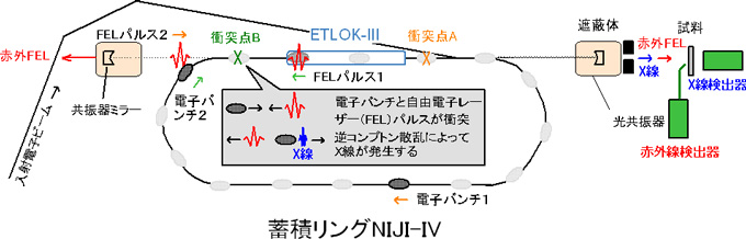 電子蓄積リングNIJI-IVを用いた自由電子レーザー逆コンプトン散乱の概念図