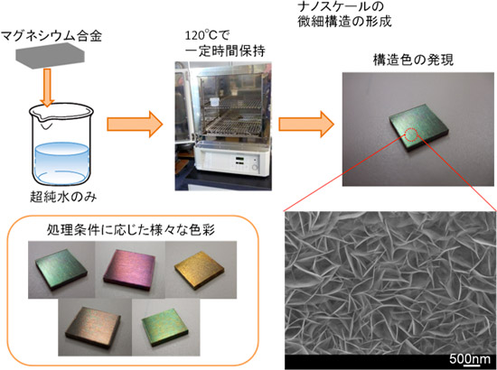 構造色を発現させるための処理工程図