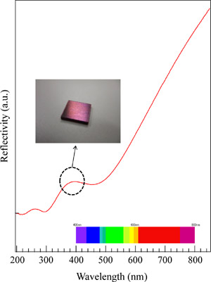 表面処理後のマグネシウム合金表面の拡散反射分光スペクトルとサンプルの外観写真