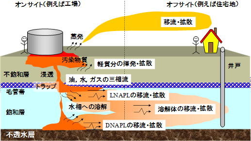 複合的な土壌・地下水汚染を対象とした詳細なリスク評価の図