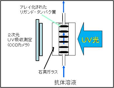 測定原理の図