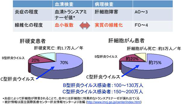 技術開発によって解決すべき肝炎の課題と、肝疾患における肝炎ウイルスの割合の図