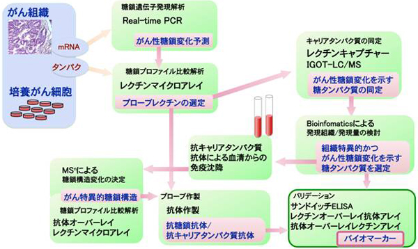 がんマーカー探索の戦略図