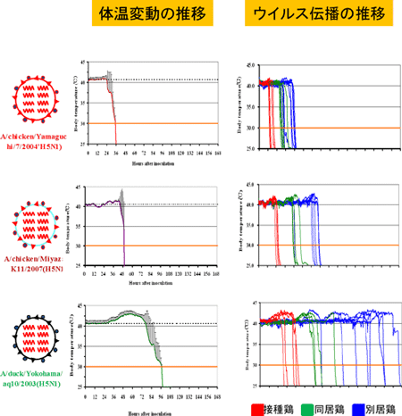 感染実験より得られたデータ例の図