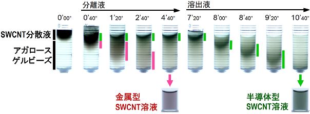 アガロースゲルビーズ充填カラムを用いた金属型・半導体型SWCNTの分離の写真